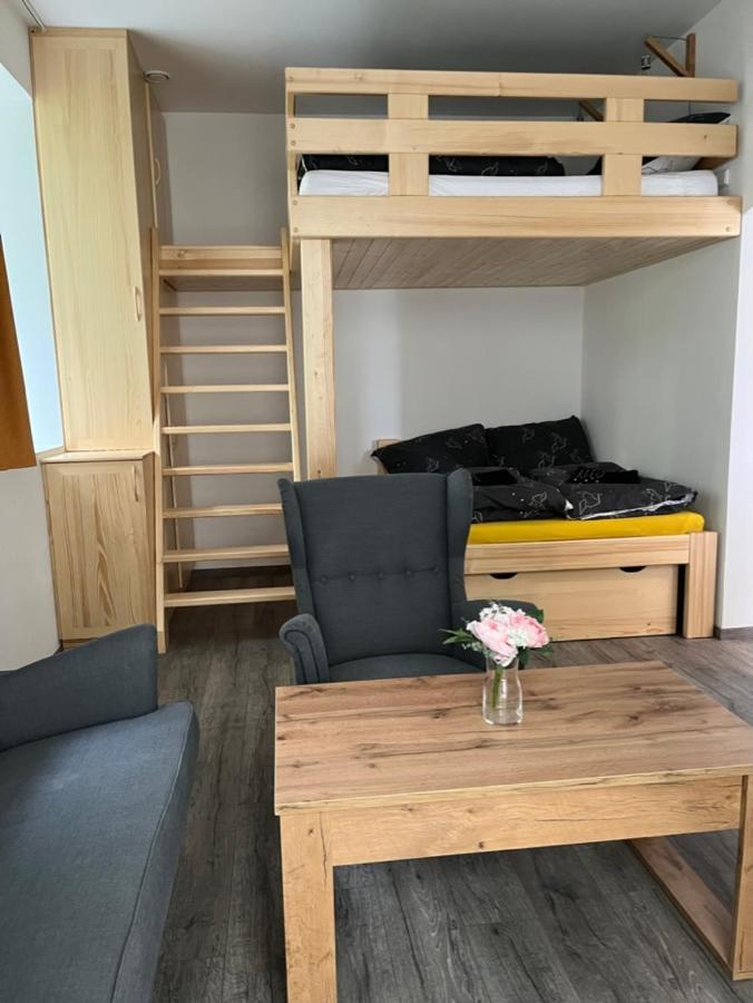 Moderni Apartman Uprostred Sumavske Prirody Zdikovec Exterior foto
